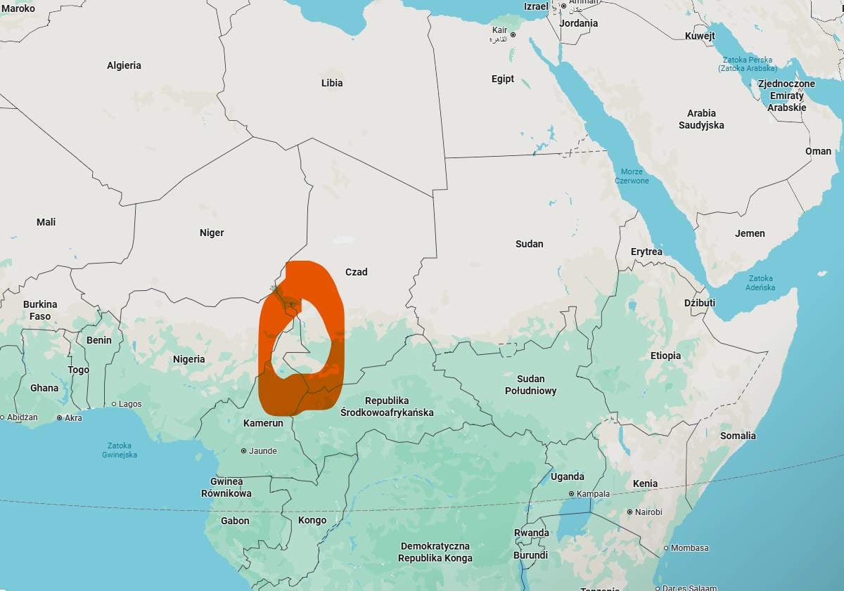Bocian dał CZADU! To ten celebryta z Przygodzic