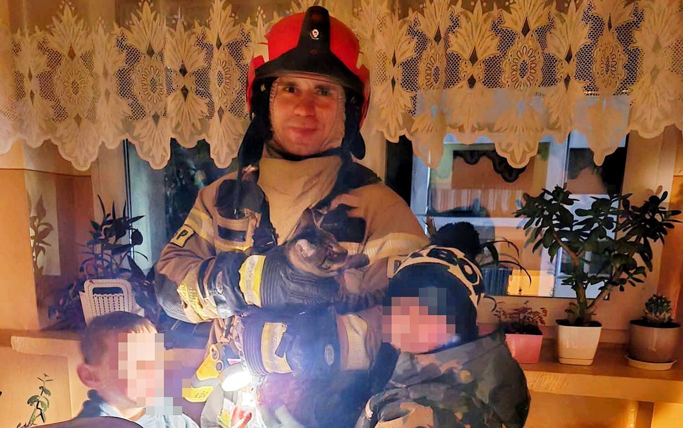 Kot uciekinier. Akcja służb (ZDJĘCIA)