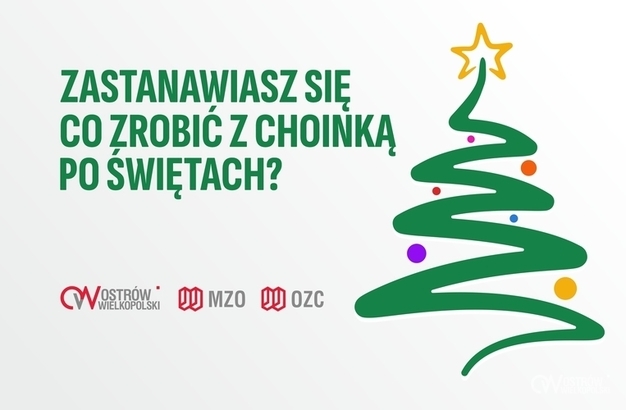 Zabiorą Twoją choinkę sprzed domu – szczegóły