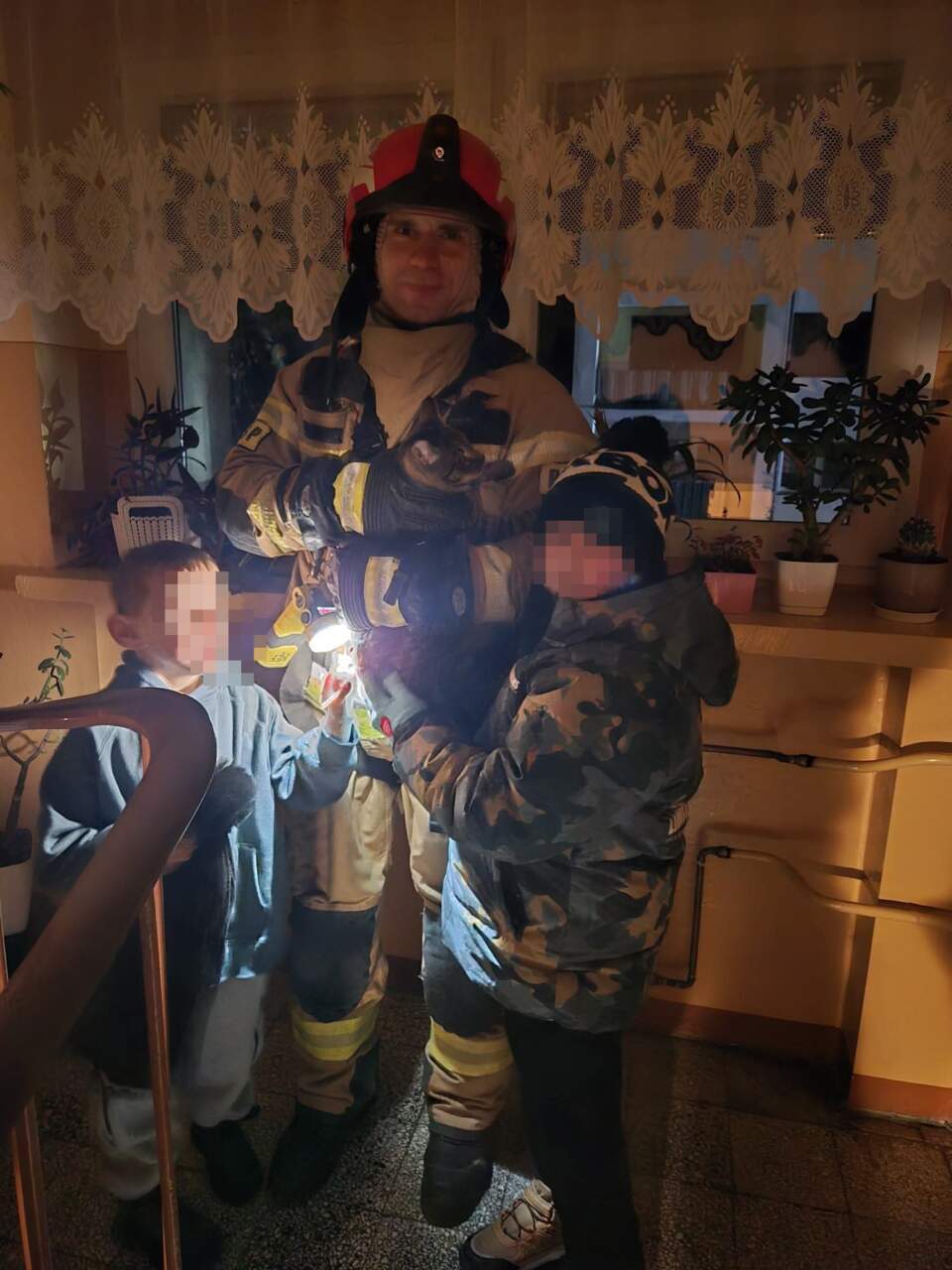 Kot uciekinier. Akcja służb (ZDJĘCIA)