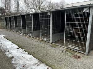 FB_IMG_1769424389661