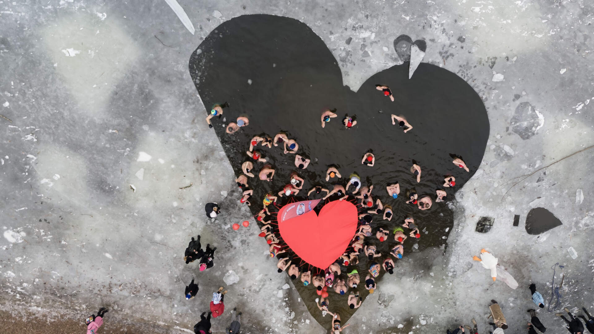 Morsy z wielkim sercem (ZDJĘCIA)