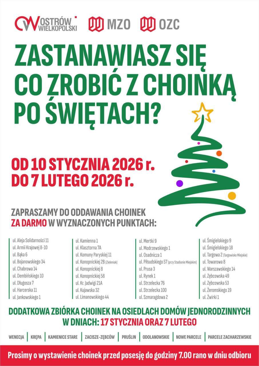 Rusza poświąteczna zbiórka choinek w Ostrowie Wielkopolskim. Znamy terminy i zasady
