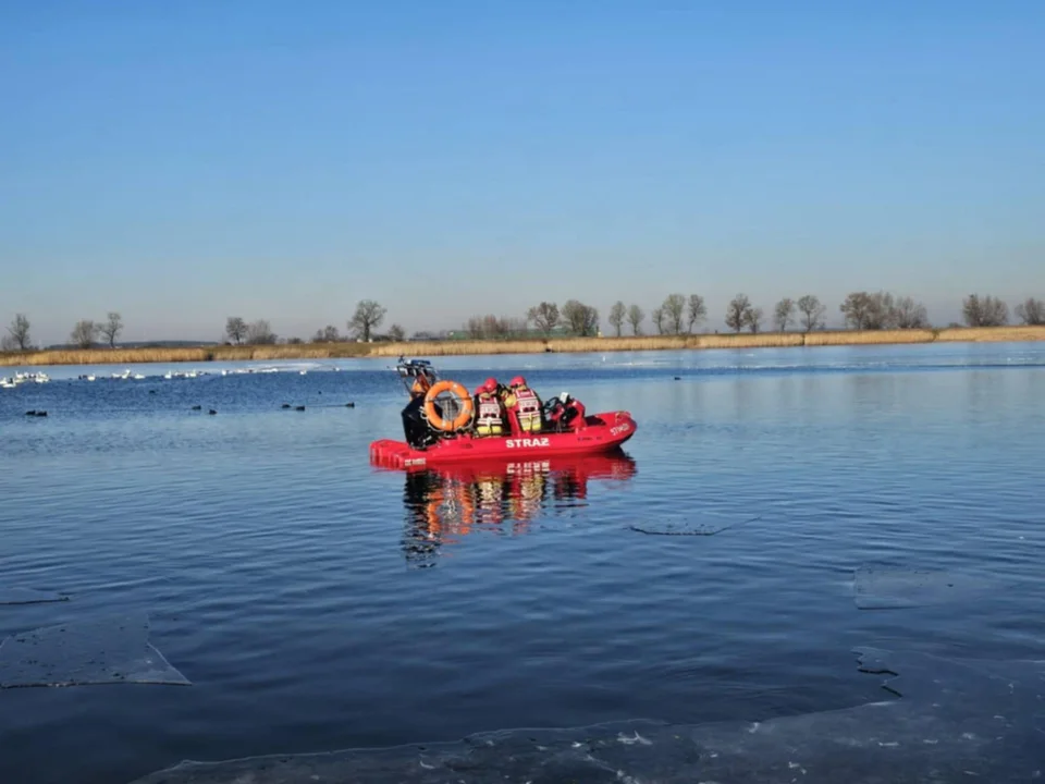 Tragiczne odkrycie na zbiorniku. Z wody i lodu wydobyto 50 martwych łabędzi