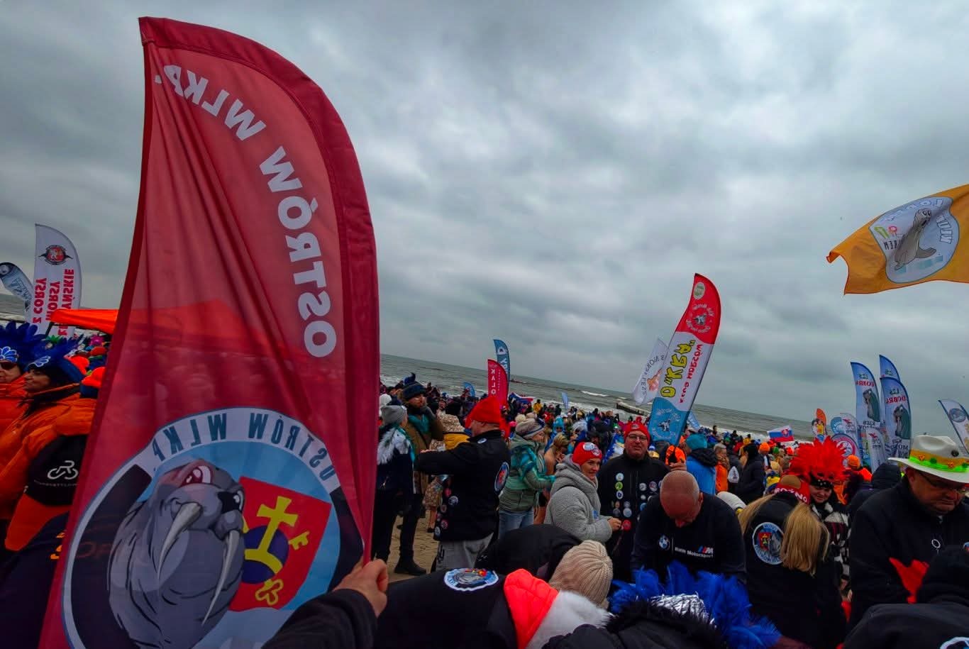 Morsy pokonywały zimne fale Bałtyku (ZDJĘCIA)