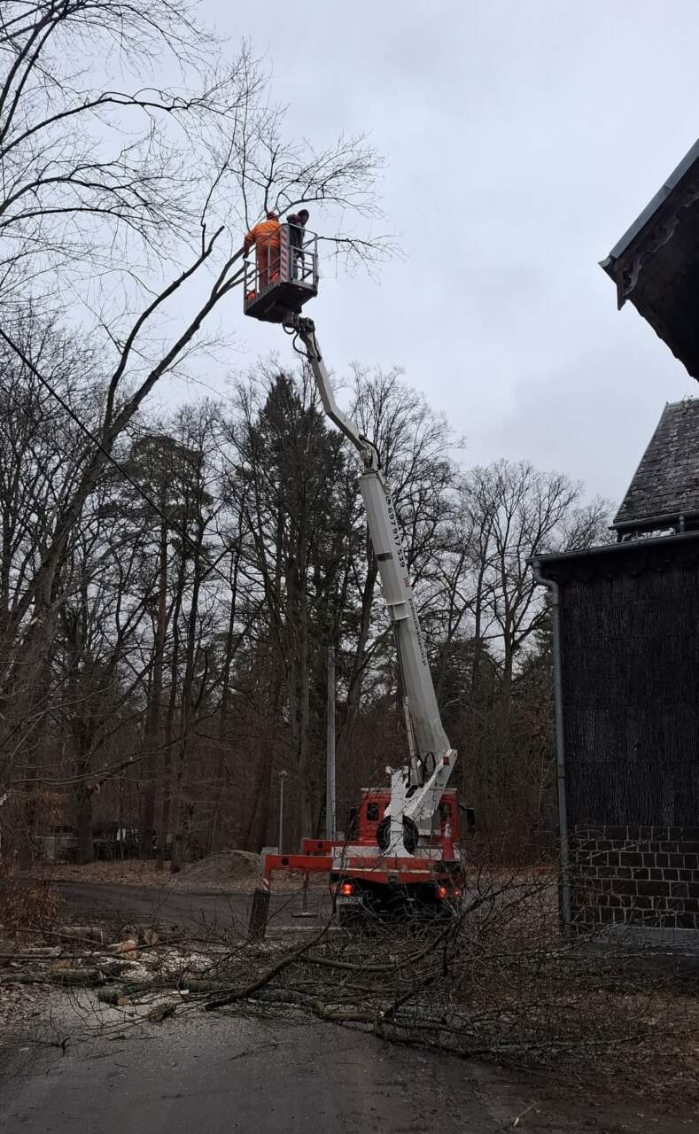 Prace przy Pałacu w Mojej Woli (ZDJĘCIA)
