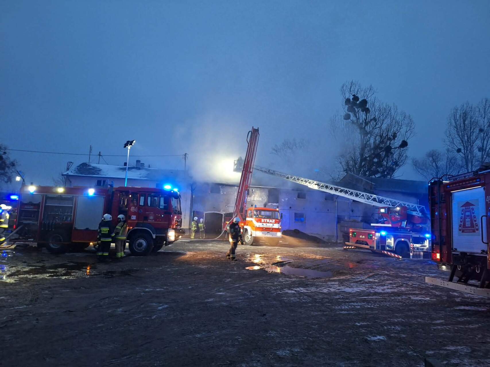 Ewakuowano kilkadziesiąt zwierząt. Duży pożar (ZDJĘCIA)