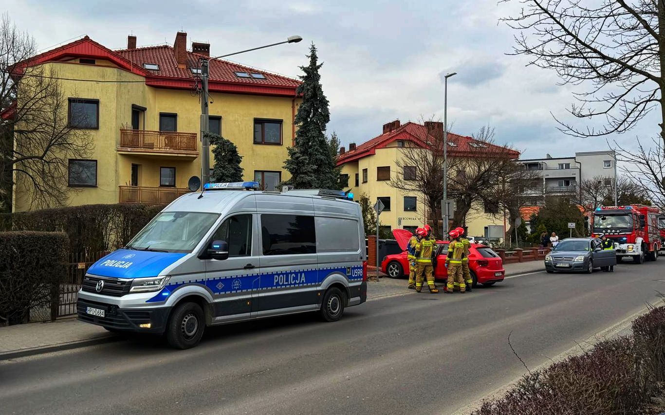 Młoda kobieta wjechała w ogrodzenie. Powód zaskakuje (ZDJĘCIA)