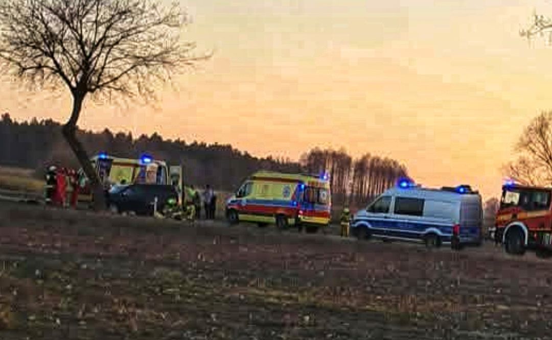 Auto z rodziną w środku wjechało w drzewo. 1 osoba reanimowana