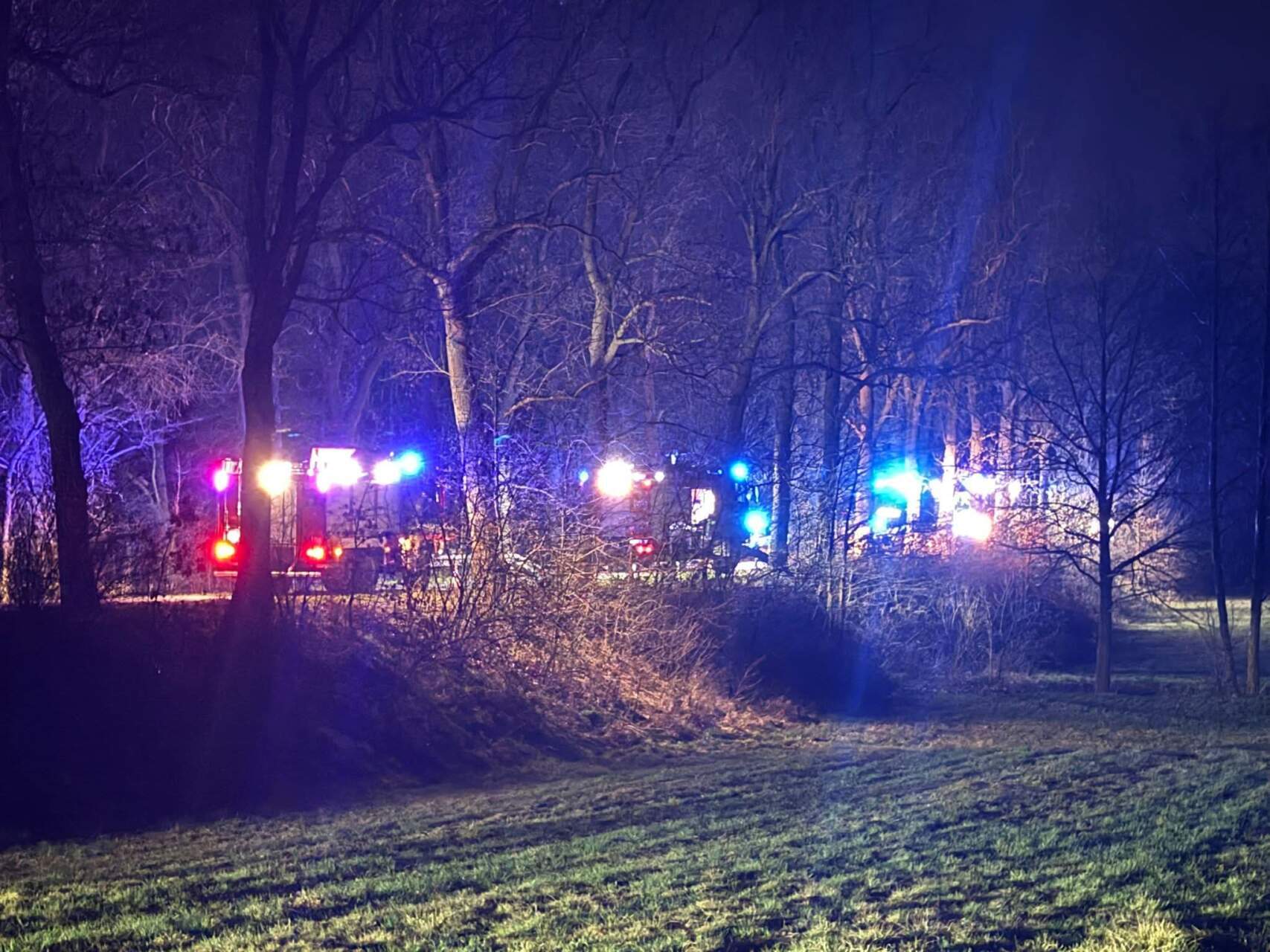 Wjechał w drzewo. Telefon na wagę złota