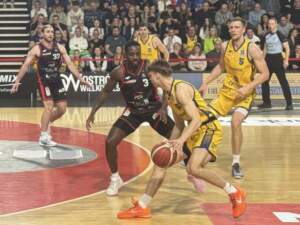 stal-kosz-03-2026-06