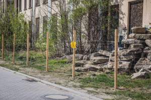 FB_IMG_1776488724921