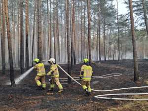 FB_IMG_1776646733884