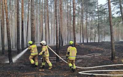 Pożar lasu. 10 jednostek walczyło z ogniem (ZDJĘCIA)