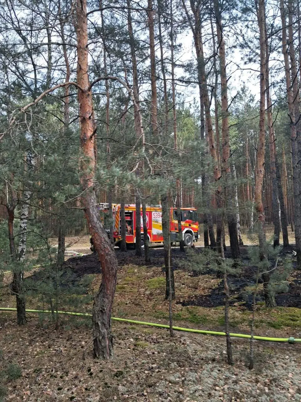 Pożar lasu. 10 jednostek walczyło z ogniem (ZDJĘCIA)