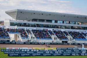 Cellfast Wilki Krosno