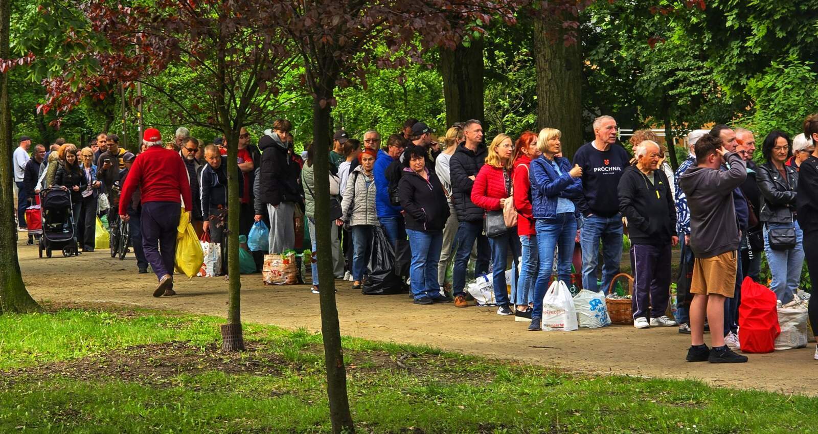 Rekordowa kolejka po lawendę. Mieszkańcy tłumnie ruszyli do Parku Miejskiego