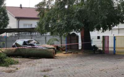 Noc grozy nad powiatem ostrowskim! Dziesiątki akcji strażaków. Burza siała spustoszenie (ZDJĘCIA)