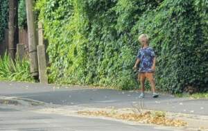 Kilkulatek sam chodził. Interweniowała policja 20260805_092142