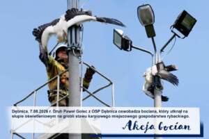Strażacy uratowali bociana uwięzionego na słupie FB_IMG_1786112297542