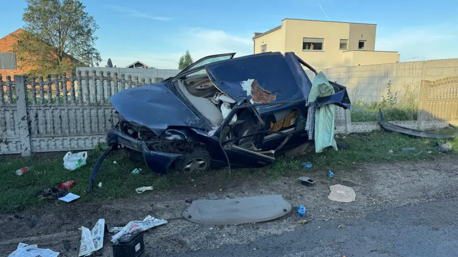 Samochód roztrzaskał się o drzewo. Kierowca cudem przeżył (ZDJĘCIA)