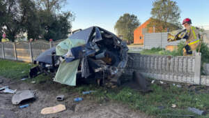 Samochód roztrzaskał się o drzewo. Kierowca cudem przeżył (ZDJĘCIA) grodzisko02