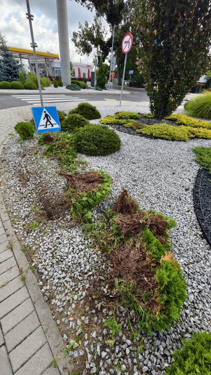 Wypadek Audi i Forda przed McDonald’s (ZDJĘCIA)
