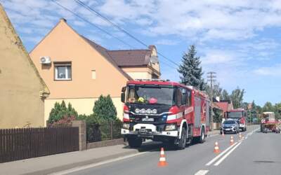 Interwencja strażaków na posesji. Mieszkaniec chciał samemu to usunąć