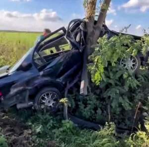 Honda wbiła się w drzewo. Co z kierowcą? 1000183041