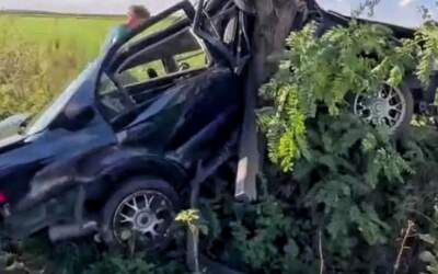 Honda wbiła się w drzewo. Co z kierowcą?