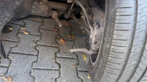 Kierowca Audi zrobił TO. BMW w niego wjechało 1000183074
