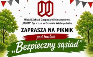 bezpiecznysasiad00