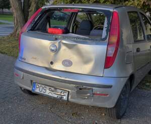 Zderzenie Punta i dostawczego z mięsem 1000198340