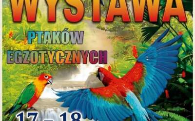 Wystawa ptaków egzotycznych – zapowiedź