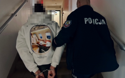 Bracia zatrzymani za kradzież wielu aluminiowych felg