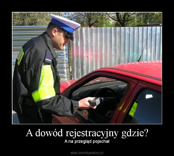 Lewe przeglądy aut