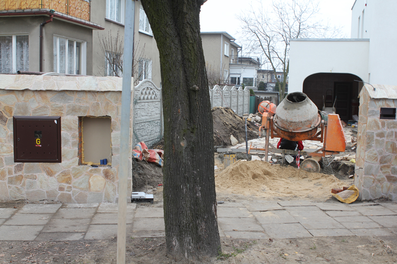 Lawirant między drzewami