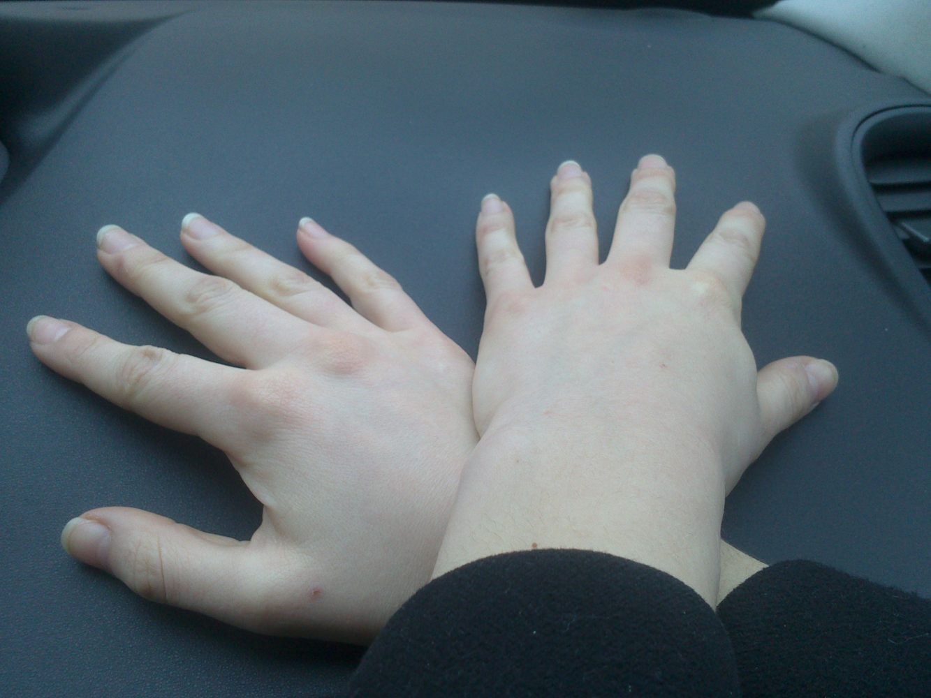 Alfonsi w rękach policji