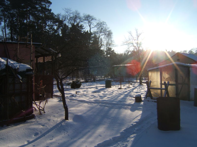 Apel do działkowiczów