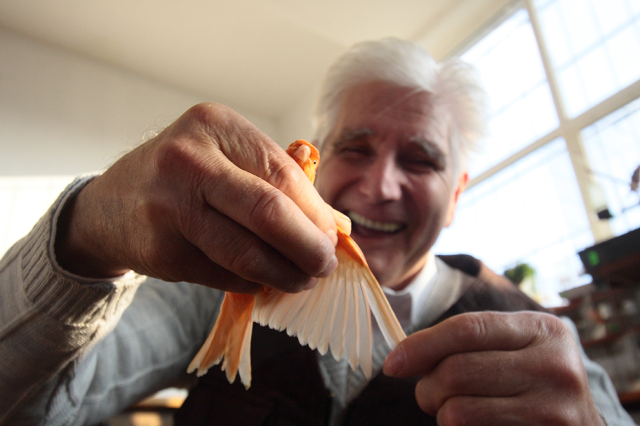 Papugowanie ciepłych krajów