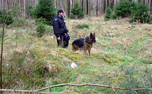 76-latka zabłądziła na grzybach