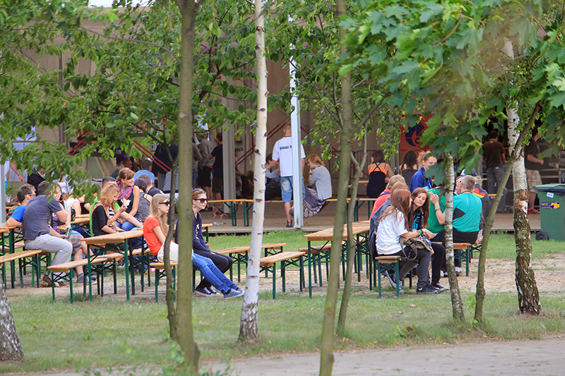 Klęska Reggae na Piaskach