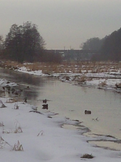 Topił się w rzece Ołobok
