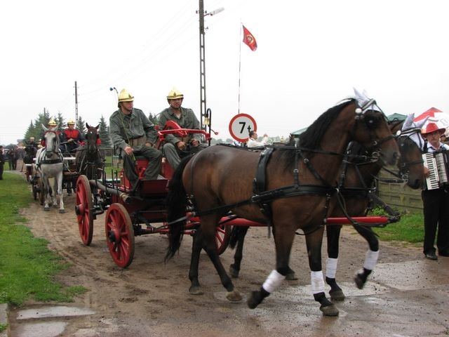 Sikawki przyciągnęły tłumy